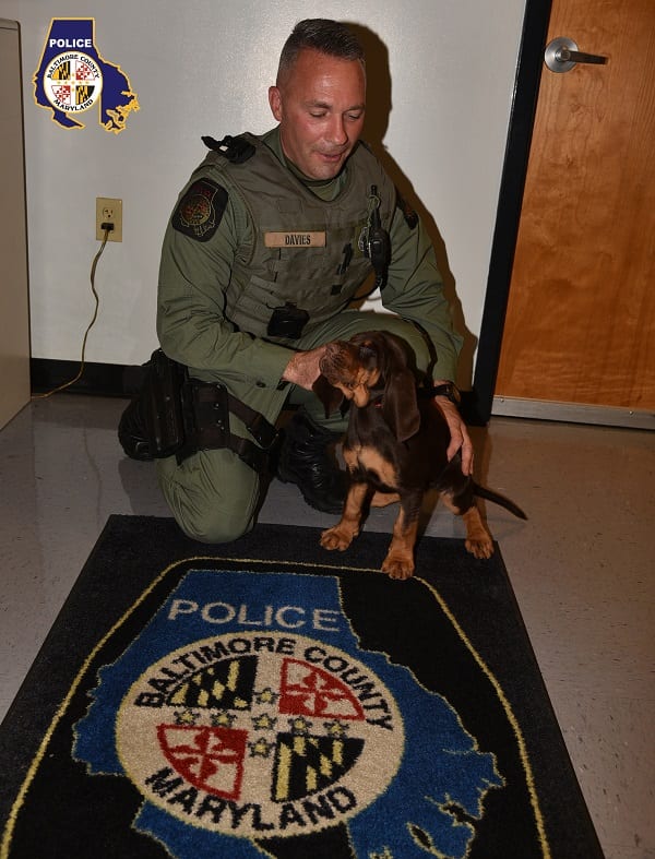 Baltimore County Police New Bloodhound 1