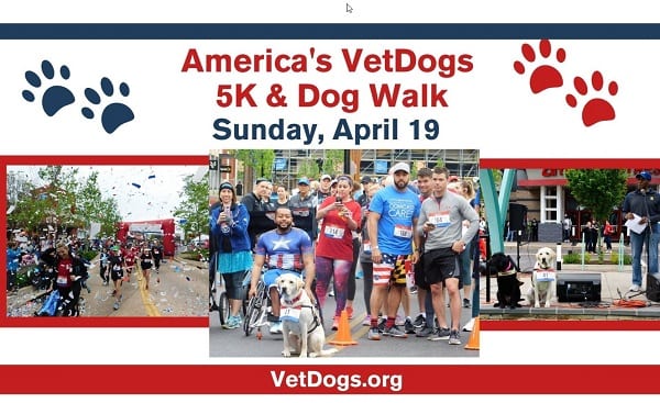 Americas VetDog 5K and Dog Walk 2020