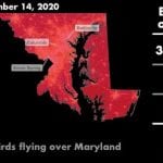Birdcast Maryland 20200914