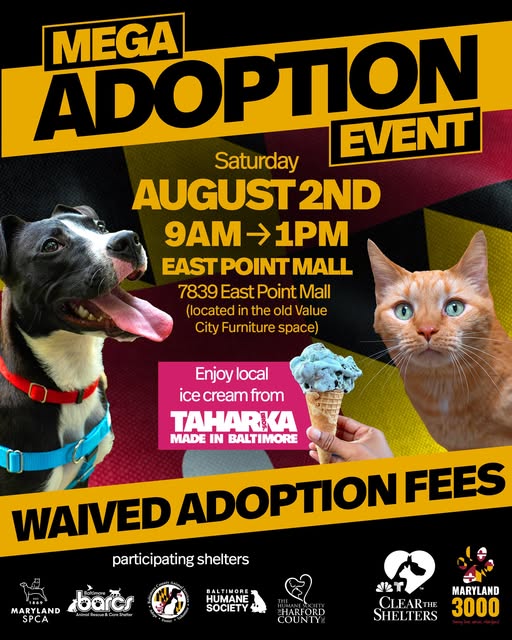 Mega Pet Adoption Event Eastpoint Mall MD 20250802