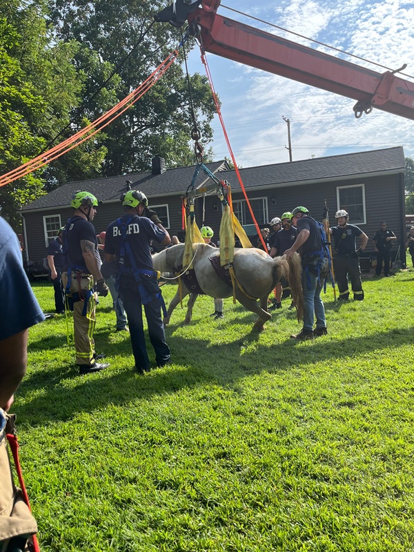 Baltimore County Horse Rescue 20250814a
