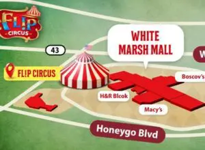 Flip Circus White Marsh Mall 2025