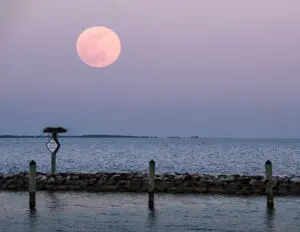 Chesapeake Bay