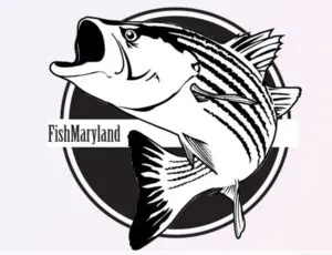 FishMaryland Master Angler Award