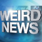 Weird News