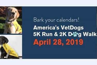 Americas VetDogs 5K 2019.png