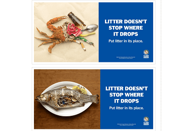 BaltCo Litter Campaign