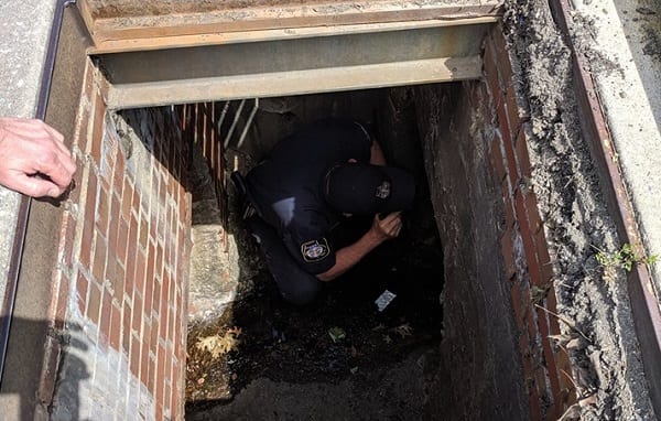 Police Rescue Ducks White Marsh 1