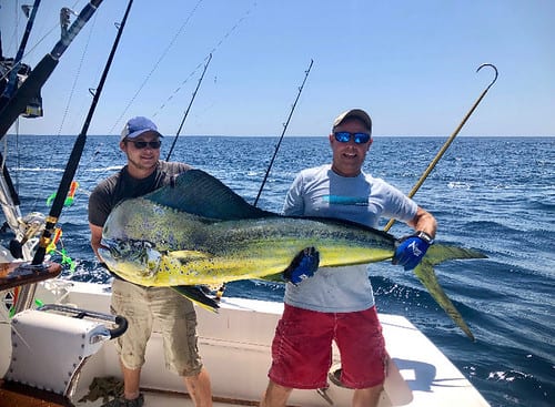 Jeff Wright Mahi Mahi