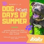 BARCS Waiving Adoption Fees 201908