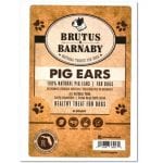 Brutus Barnaby Pig Ears