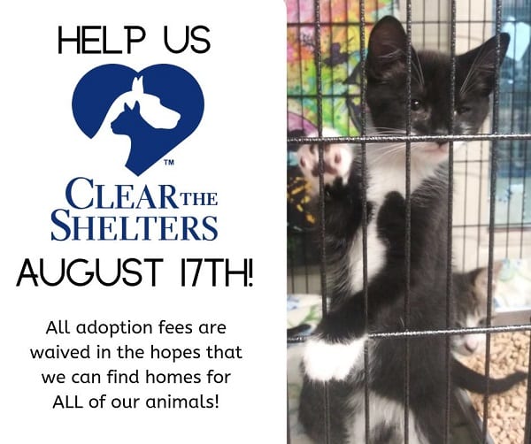 Clear the Shelters 2019