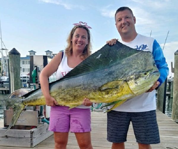 Maryland Dolphinfish Record 20190819