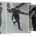 Towson Town Center Burglar 201909