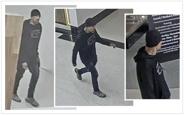 Towson Town Center Burglar 201909