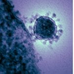 MERS Coronavirus