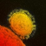 Coronavirus