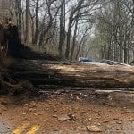 Cromwell Bridge Road Tree Down 20200329