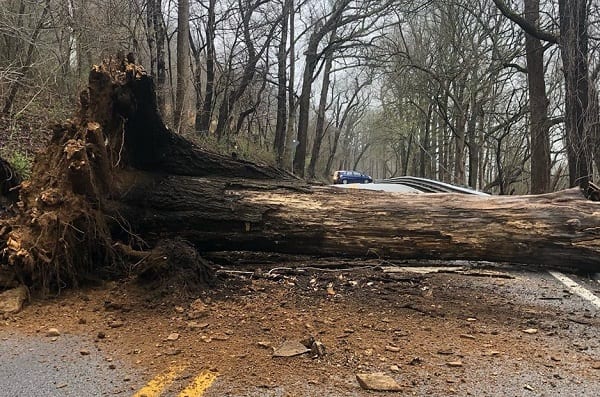 Cromwell Bridge Road Tree Down 20200329