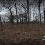 Oakleigh Pet Cemetery