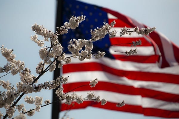 American Flag Memorial Day