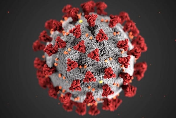 Coronavirus COVID-19