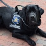 Harford County K-9 Sata