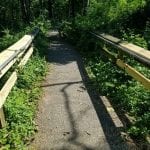 Cowenton Ridge Park Bridge