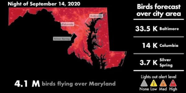 Birdcast Maryland 20200914