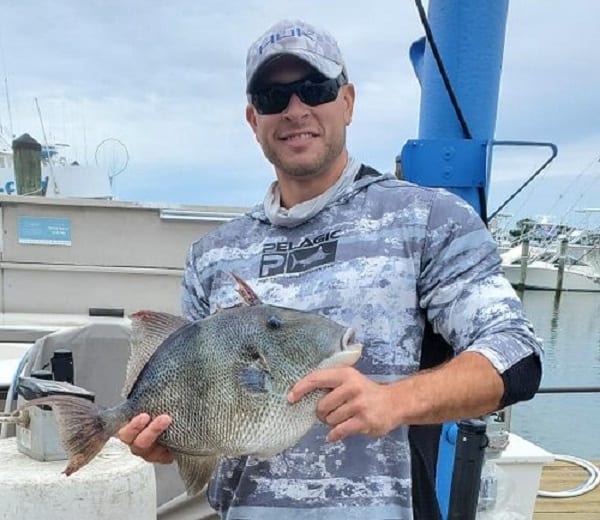 Logan Liddick Gray Triggerfish