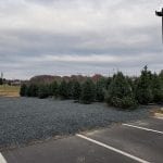 WMVFC Christmas Trees
