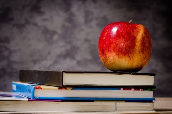 School Lunch Books Apple