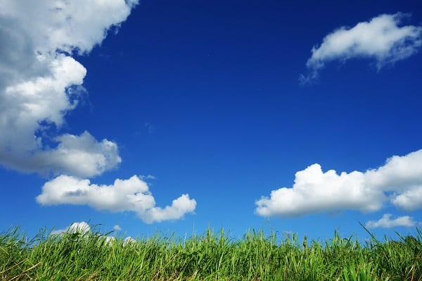 Blue Sky Grass