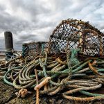 Fishing Crab Pot