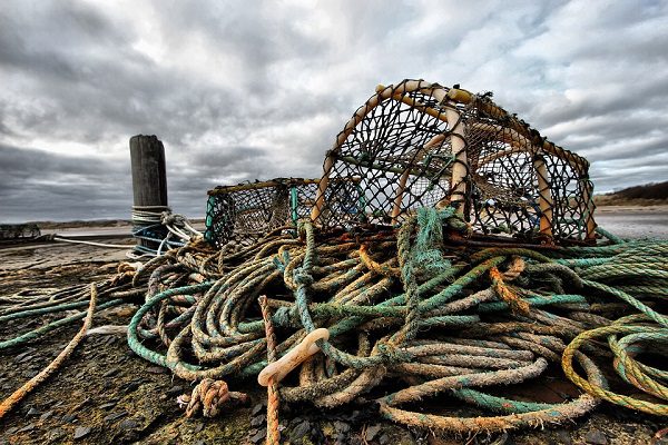 Fishing Crab Pot