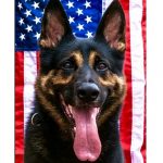 BCoPD K9 Jack