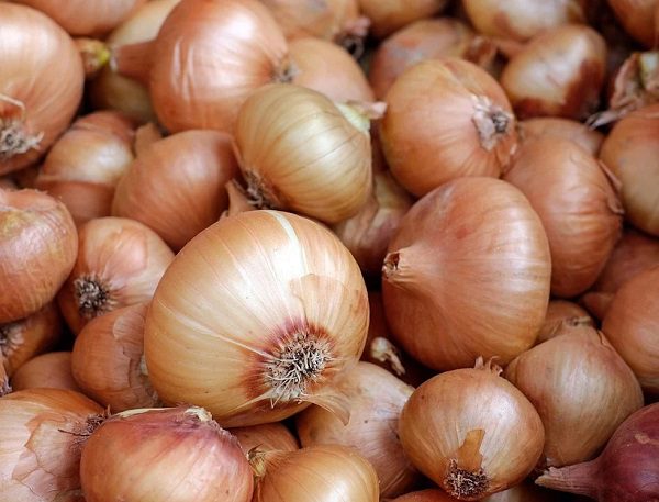 Onions