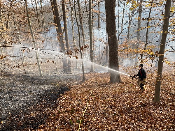 Brush Fire Harford Road 20211129