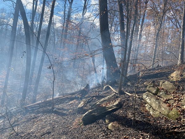 Brush Fire Harford Road 20211129a