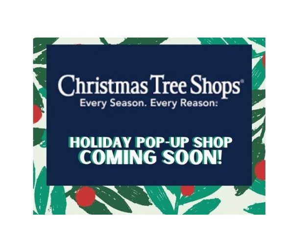 Christmas Tree Shops The Avenue