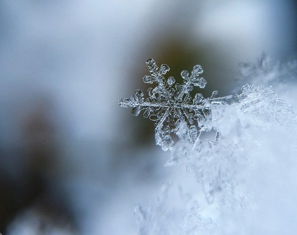 Snow Ice Crystal Winter Freeze