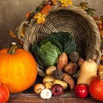 Thanksgiving Autumn Fall Harvest Pumpkin