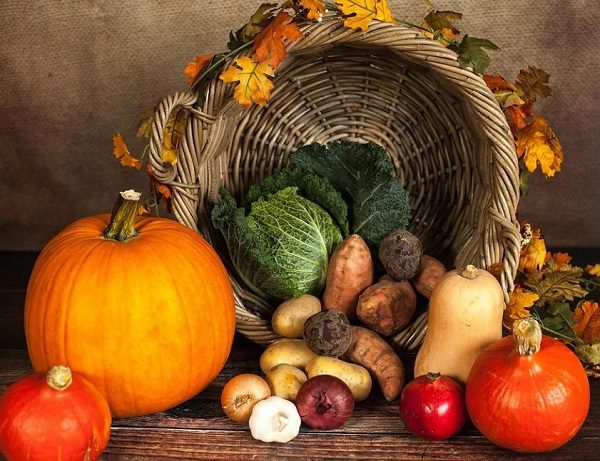 Thanksgiving Autumn Fall Harvest Pumpkin