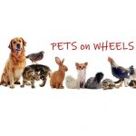 Pets on Wheels