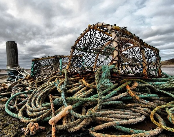 Crabbing Crab Pot Seafood