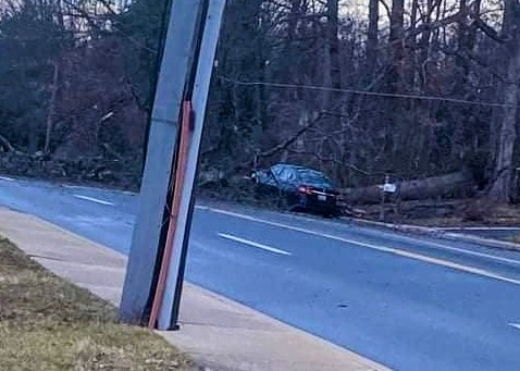 Trees Down Baltimore 20220218b