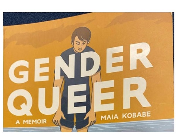 Gender Queer Book