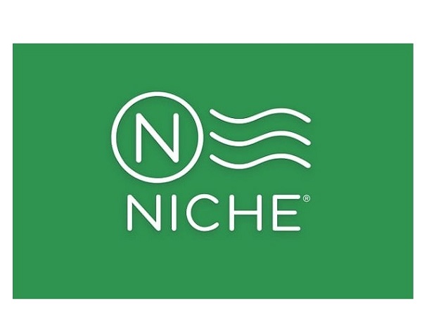 Niche Logo