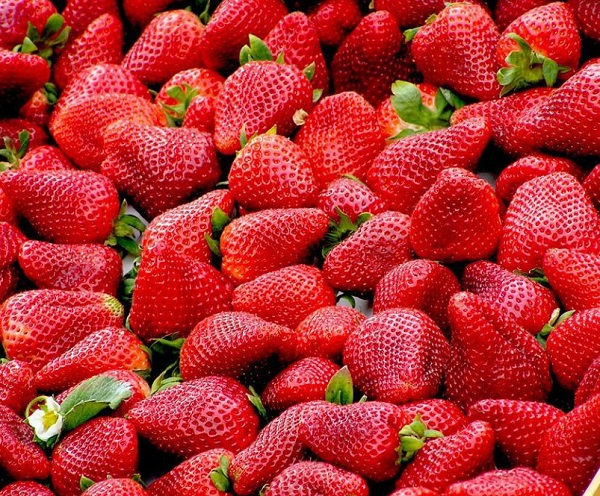 Strawberries