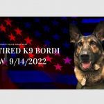 Baltimore County Police K9 Bordi